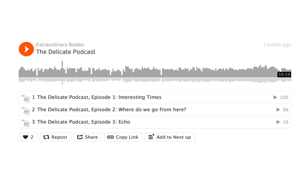 The Delicate Podcast - Extraordinary Bodies